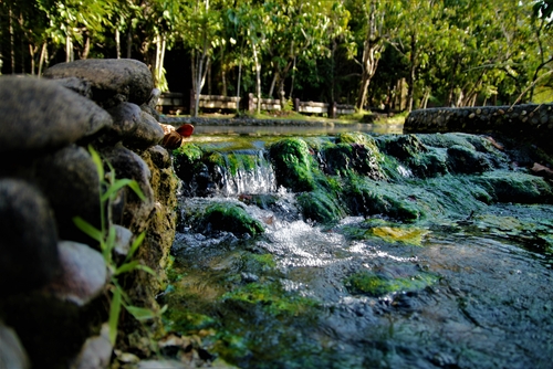 ที่เที่ยวตรัง 2025