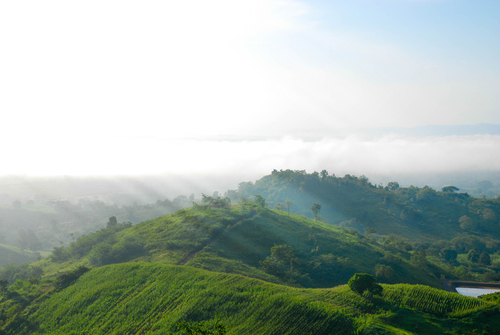 เที่ยวเขาใหญ่หน้าหนาว