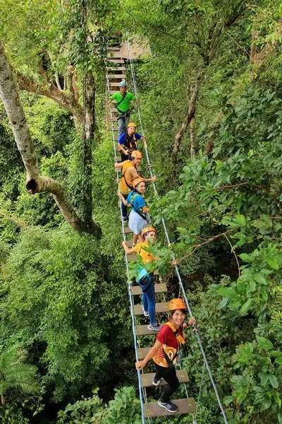 ไฟล์ท ออฟ เดอะ กิบบอน (Flight of the Gibbon) พัทยา