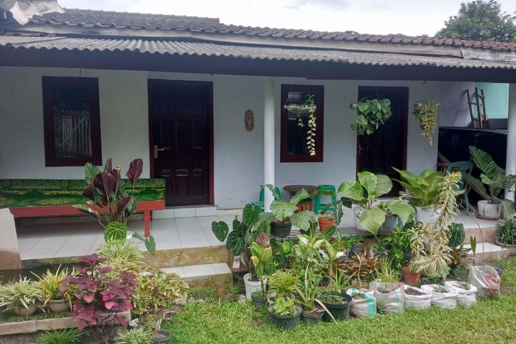 Homestay Wijaya Mulya
