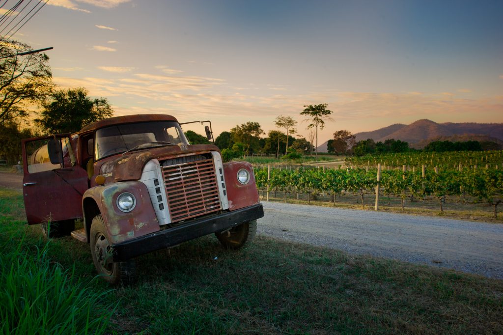 ที่เที่ยวเขาใหญ่ - พีบี วัลเล่ย์ ไร่องุ่นเขาใหญ่ (PB Valley) จิบไวน์ท่ามกลางไร่