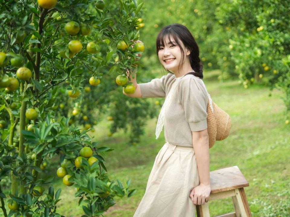 ที่เที่ยวเชียงใหม่ ธรรมชาติ 