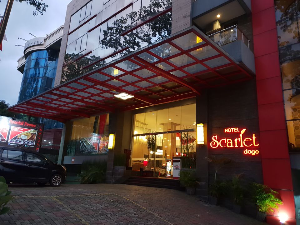 Scarlet Dago Hotel 
