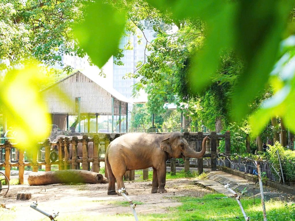 Thảo Cầm Viên - Chơi gì ở Sài Gòn trong 1 ngày