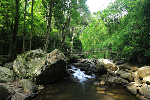 ที่เที่ยวประจวบคีรีขันธ์ น้ำตกป่าละอู