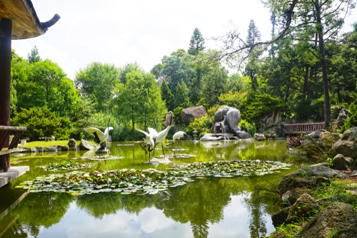 สวนพฤกษศาสตร์เซียะเหมิน (Xiamen Botanical Garden)