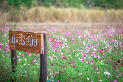 สถานที่เที่ยวสระบุรี