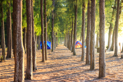 ที่เที่ยวประจวบคีรีขันธ์ อุทยานแห่งชาติหาดวนกร