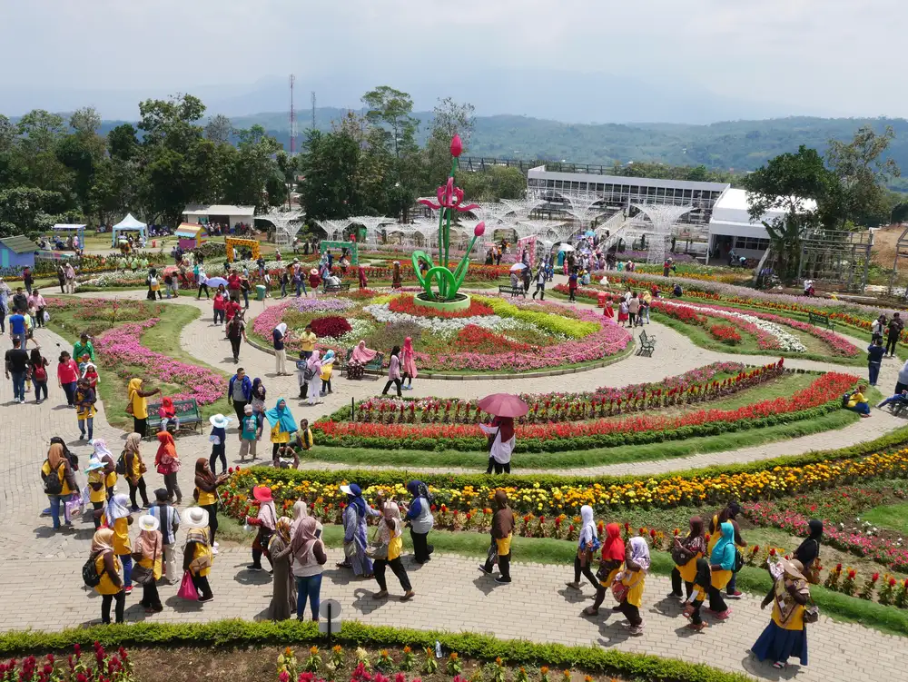 Taman Bunga Celosia