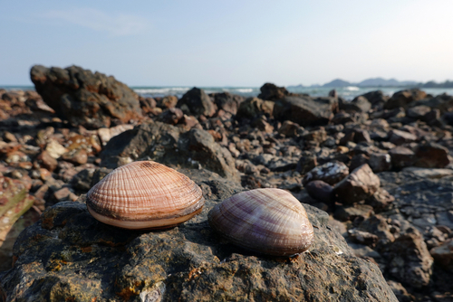 หาดทับสะแก