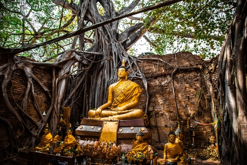ที่เที่ยวสิงห์บุรี โบสถ์ต้นโพธิ์ วัดไทร