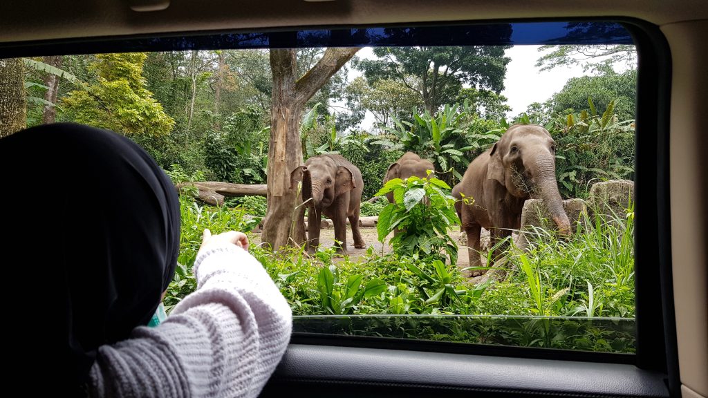Taman Safari Bogor