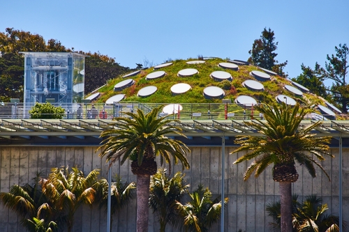 ที่เที่ยวซานฟราน สถาบันวิทยาศาสตร์แคลิฟอร์เนีย (California Academy of Sciences)
