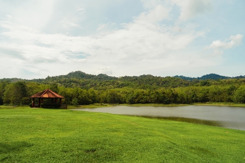 ที่เที่ยวหน้าฝนใกล้กรุงเทพฯ ศูนย์ศึกษาธรรมชาติฯ เจ็ดคด–โป่งก้อนเส้า
