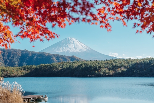 ชมวิวที่ทะเลสาบคาวากุจิโกะ (Kawaguchiko Lake)
