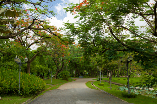 ที่เที่ยวกรุงเทพ 2568