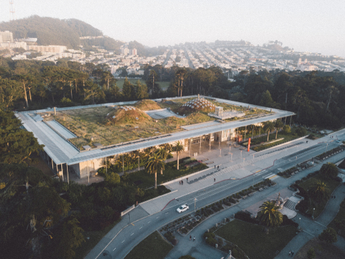 ที่เที่ยวซานฟราน สถาบันวิทยาศาสตร์แคลิฟอร์เนีย (California Academy of Sciences)