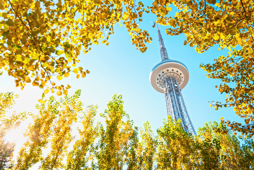 หอคอยหลงถ่า (Long Ta / Dragon Tower)