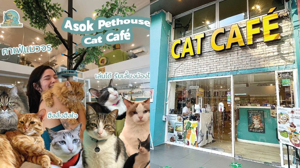 ที่เที่ยวครอบครัว กรุงเทพ