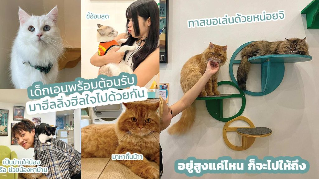 ที่เที่ยวครอบครัว