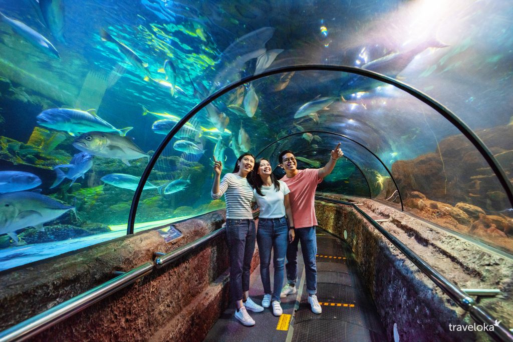 Sea World Ancol - Rekomendasi Tempat Wisata Anak di Jakarta Populer