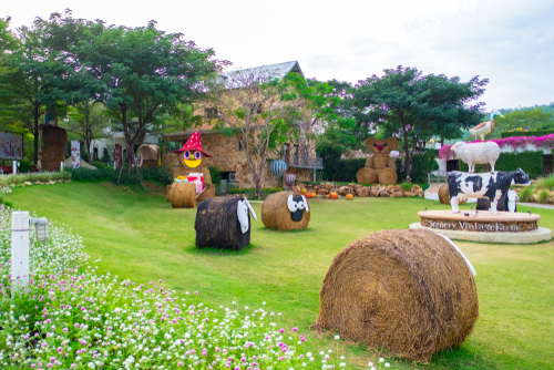 ที่เที่ยววันแม่