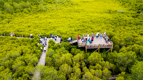 ทุ่งโปรงทอง ระยอง ที่เที่ยววันแม่