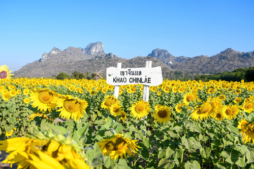 ที่เที่ยวใกล้กรุงเทพ