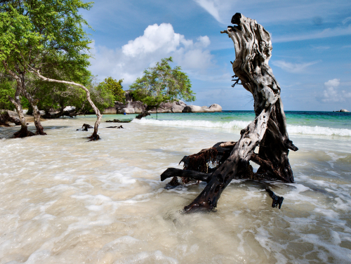 pantai tanjung tinggi