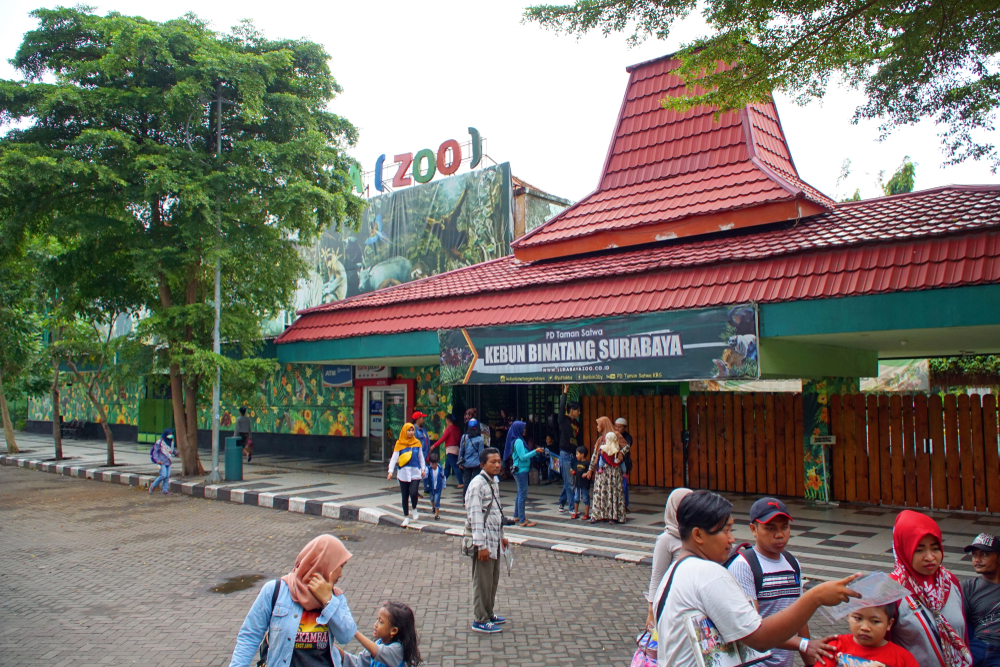 Wisata Kebun Binatang Surabaya