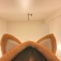 author profile image