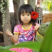 author profile image