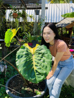 author profile image