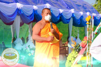 author profile image