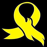 author profile image