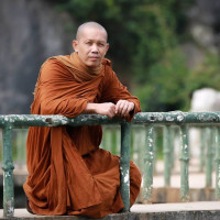 author profile image