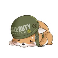 author profile image