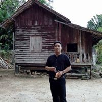 author profile image