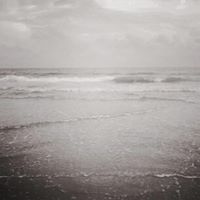 author profile image