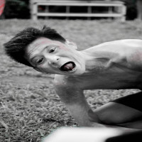 author profile image