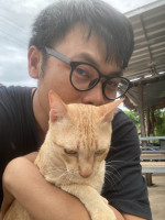 author profile image