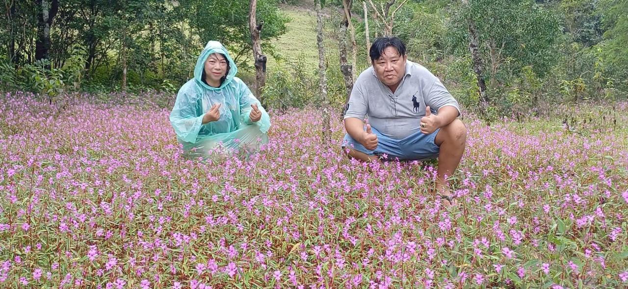 อุ้มผางคึกคัก! “ดอยหัวหมด” ทุ่งดอกเทียนปีกผีเสื้อบานสะพรั่ง รับฤดูท่องเที่ยวทีลอซู 2569
