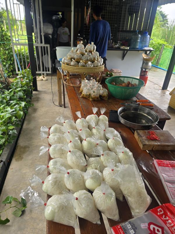 สู้ศึกน้ำท่วม