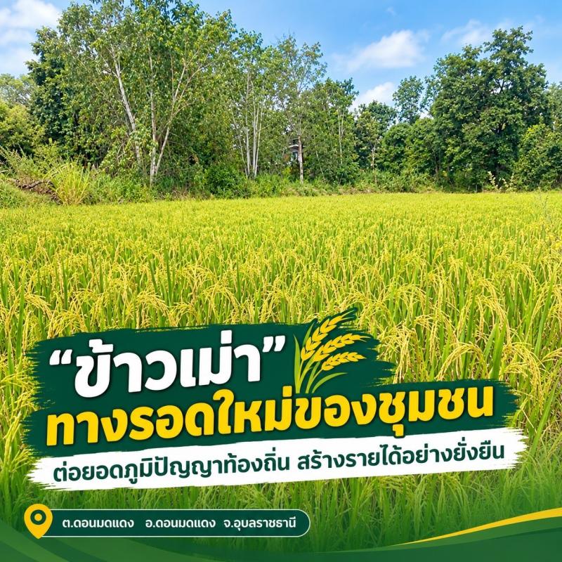 โครงการวิจัยแก้จนฯ ม.อุบล เดินหน้า โมเดล “เตาเผาถ่านควันน้อย” พัฒนาอาชีพเดิม ลดต้นทุน ลดควัน สู่การต่อยอดนวัตกรรมชุมชน
