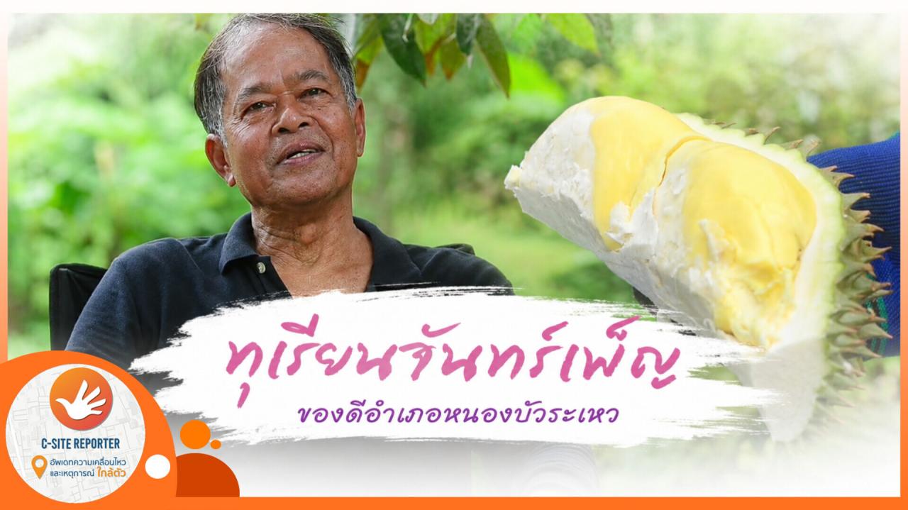 ชัยภูมิ :(ชมคลิป)  ช่วงเทศกาลท่องเที่ยวดอกกระเจียวบานจังหวัดชัยภูมิ พาแวะสวนทุเรียน หนุ่มเมืองนนท์เขยชัยภูมิ 