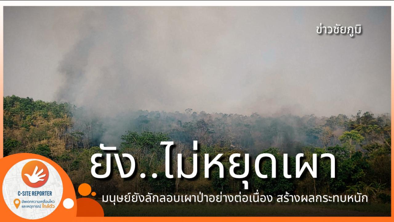 ชัยภูมิ : (มีคลิปข่าว) ยังไม่หยุดเผาป่า พบจุดความร้อน 78 จุด มลพิษอากาศมีผลกระทบต่อทุกคน 
