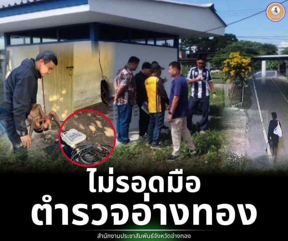 >>> หนีไม่พ้น ตำรวจอ่างทอง ตามรวบผู้ต้องหาลักอุปกรณ์ไฟฟ้า อบต.คลองวัว <<<