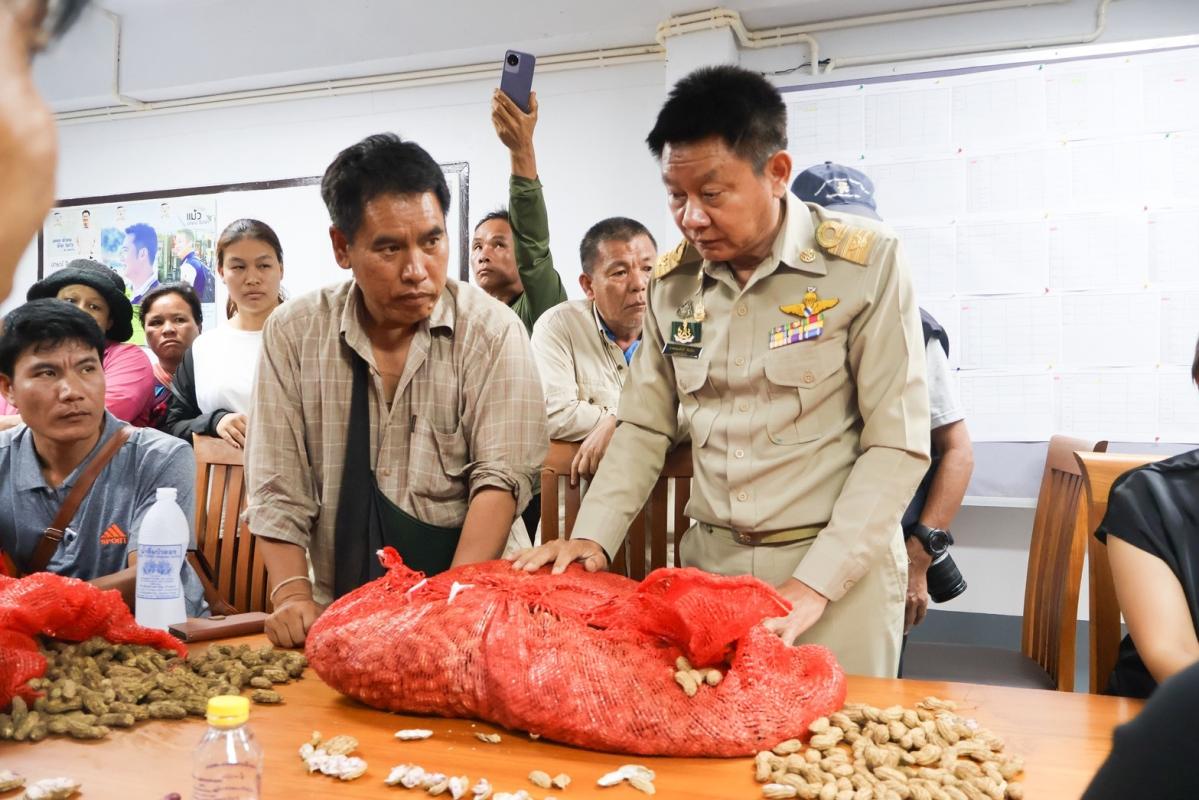 เกษตรกรถั่วลายเสือแม่ฮ่องสอนกว่า300คน เข้าพบ ส.ส. ร้องถูกกดราคา