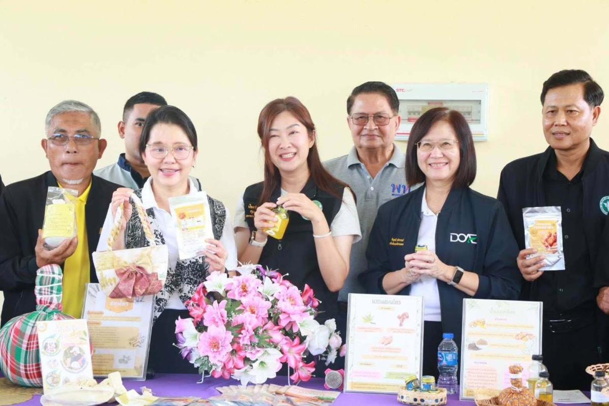 ประเทศไทย กำลังดัน ขมิ้นชันเพื่อการเภสัชกรรม อับเดตเกษตกร