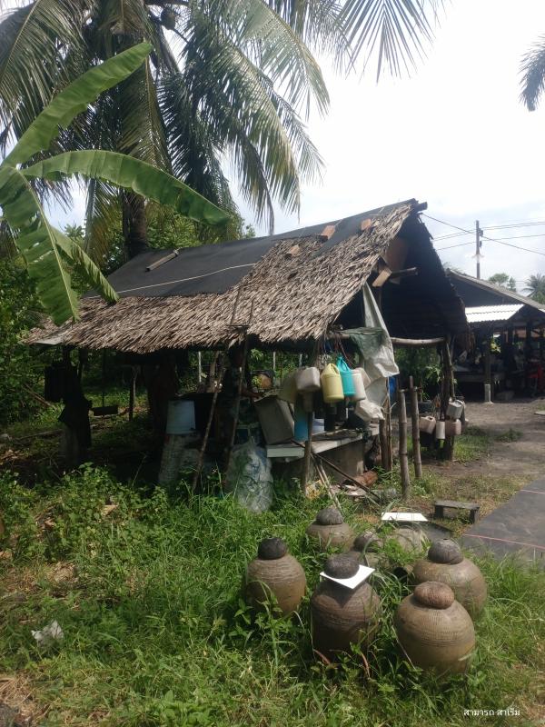 บันทึกความทรงจำแห่งบ้านแม่ปรือ: ลุงพล โชติศิริ คนขึ้นตาลขึ้นโหนดคนสุดท้าย